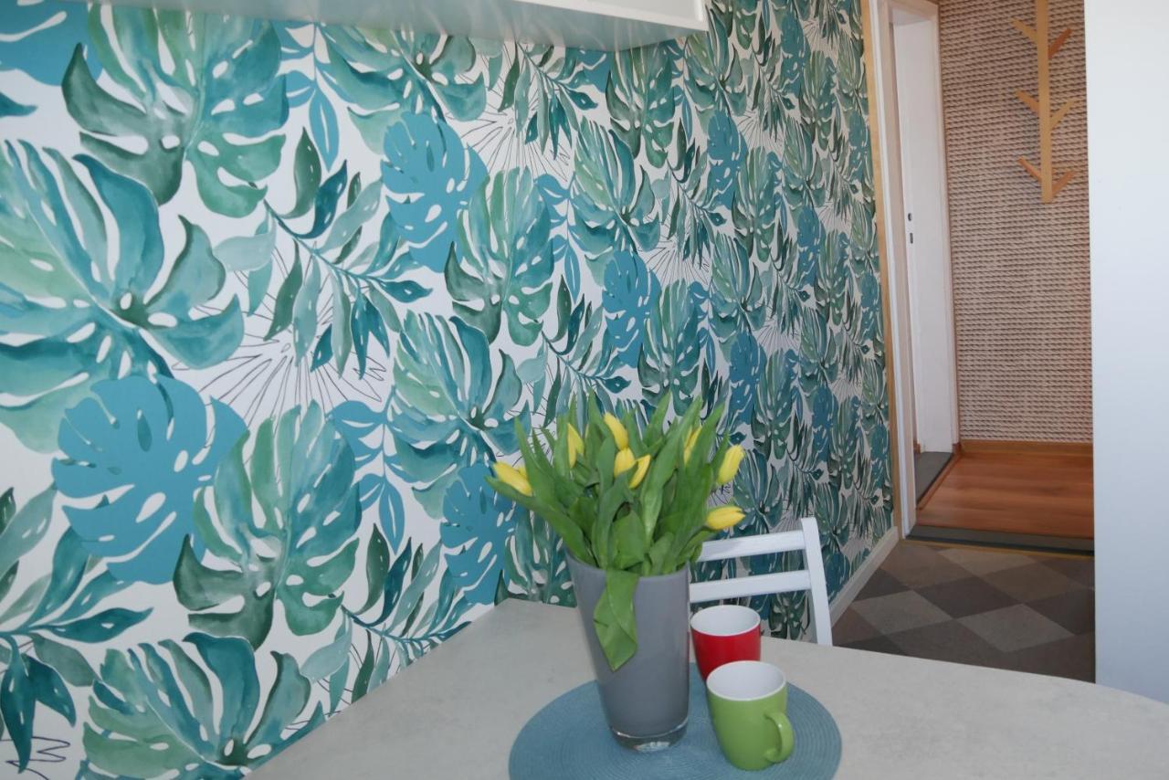 Apartamenty I Mieszkania Wakacyjne Chałupy エクステリア 写真